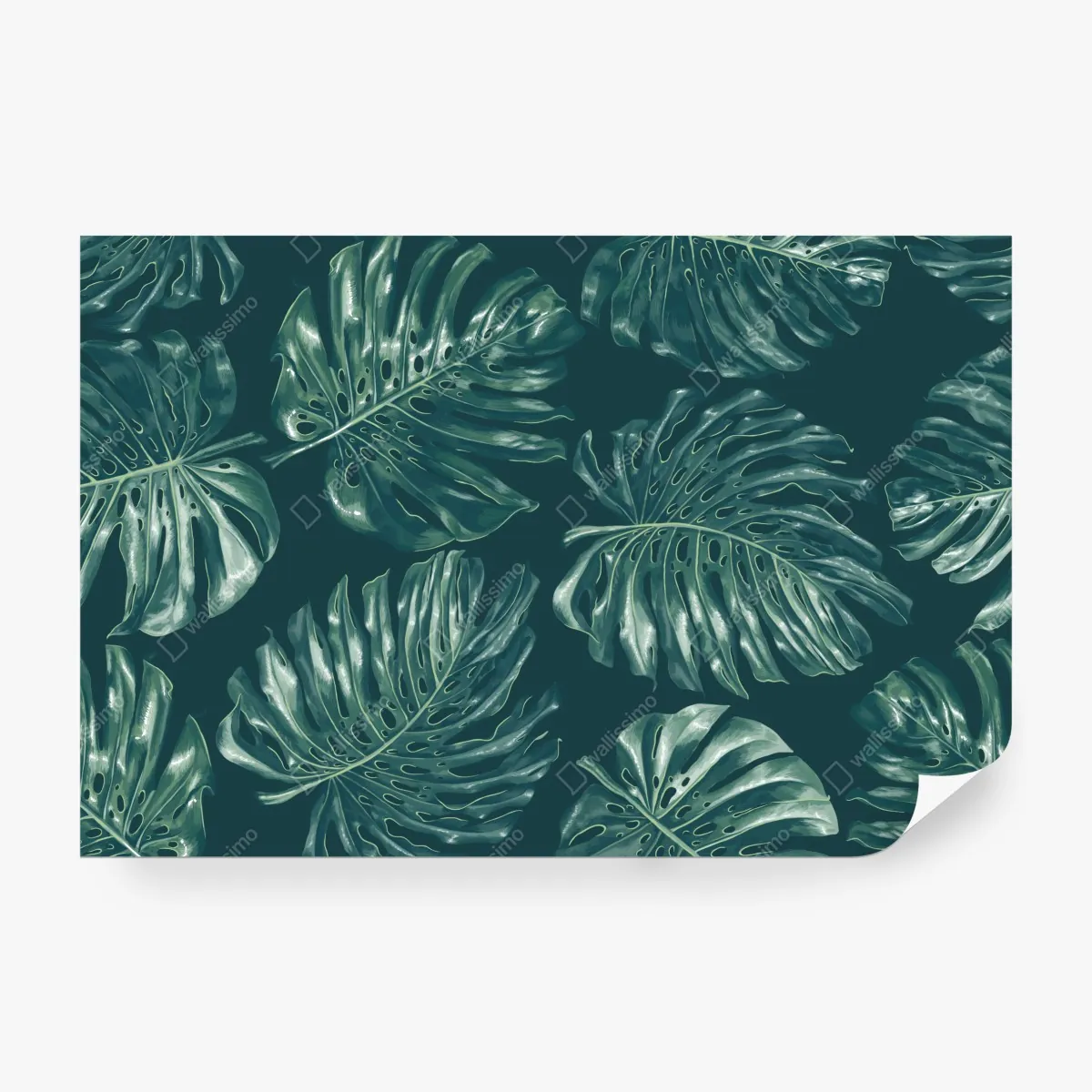 Fototapeta wzór tropikalnych liści monstery – Wallissimo® Fototapeta wzór tropikalnych liści monstery – Wallissimo®