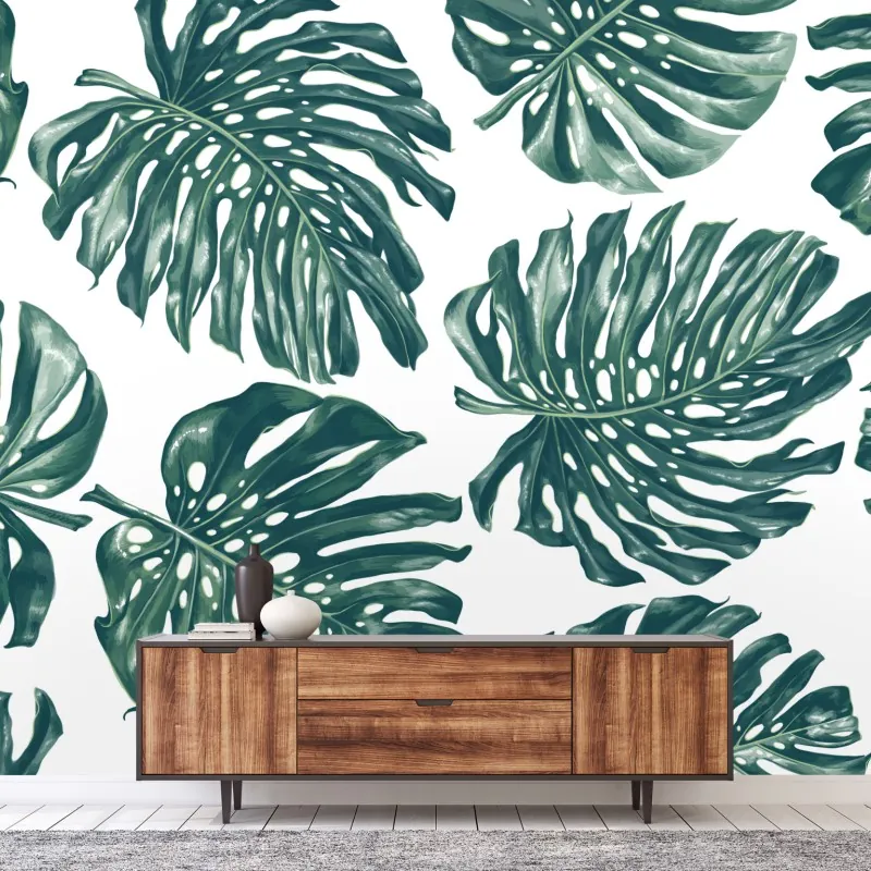 Fototapeta wzór botaniczny liści monstery