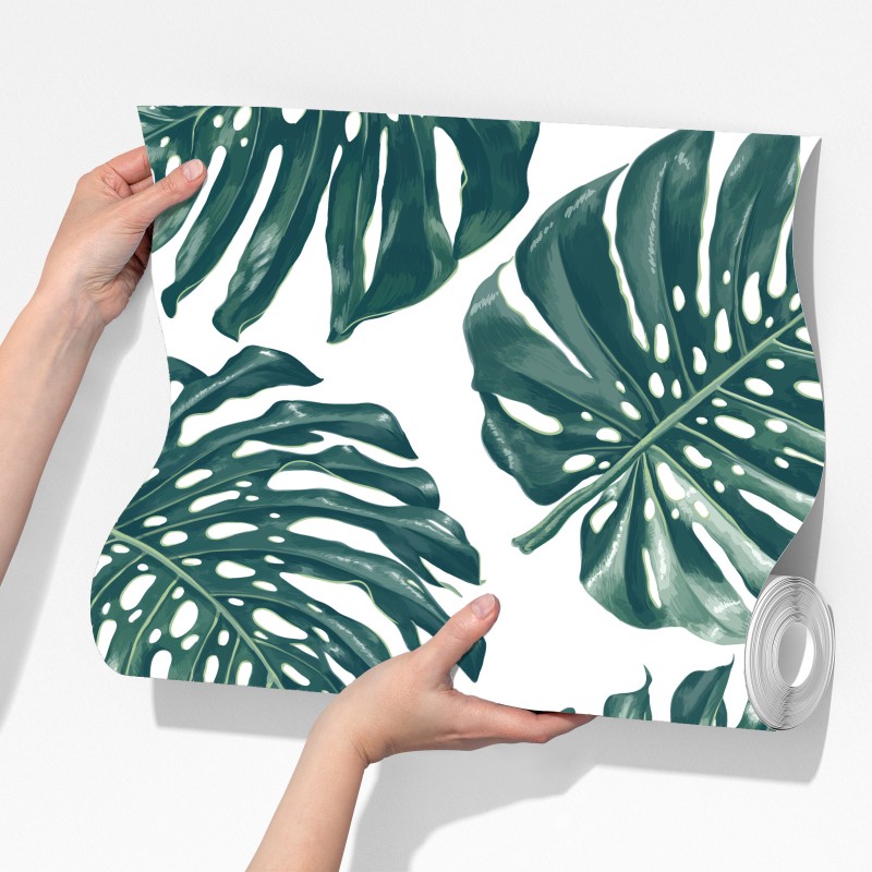 Fototapeta wzór botaniczny liści monstery – Wallissimo® Fototapeta wzór botaniczny liści monstery – Wallissimo®