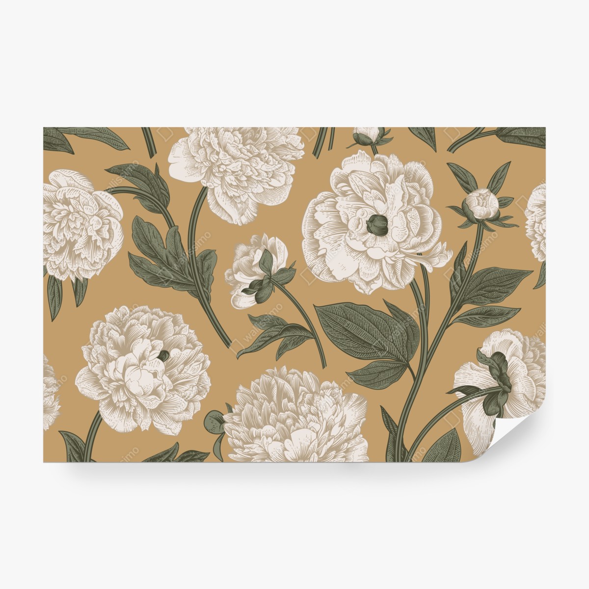 Fototapeta vintage wzór botaniczny z piwoniami – Wallissimo® Fototapeta vintage wzór botaniczny z piwoniami – Wallissimo®
