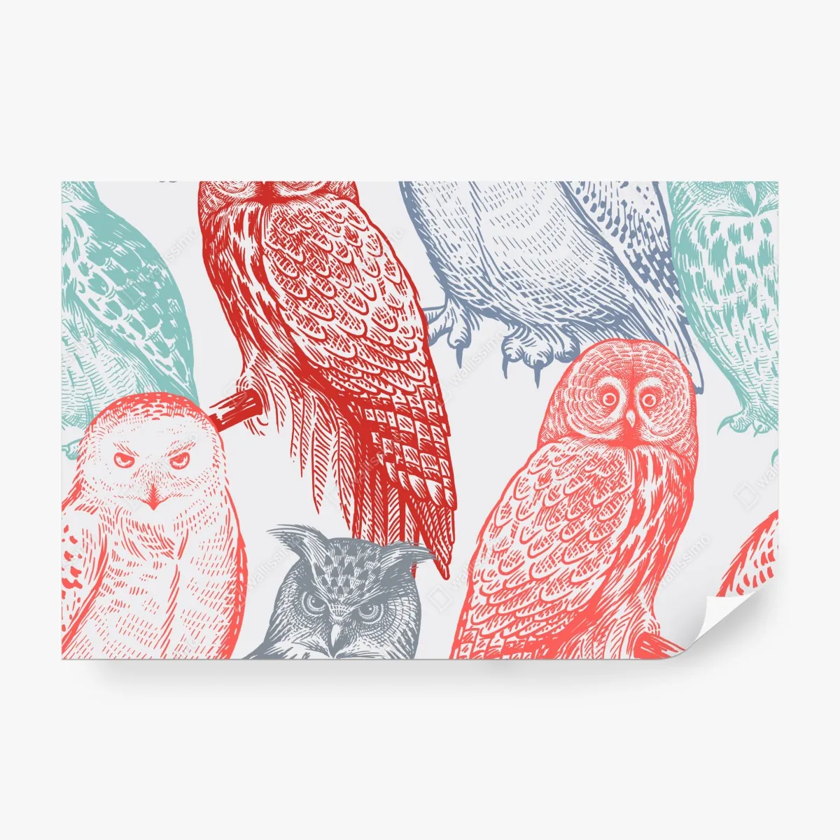 Fototapeta kolorowy wzór z sowami – Wallissimo® Fototapeta kolorowy wzór z sowami – Wallissimo®