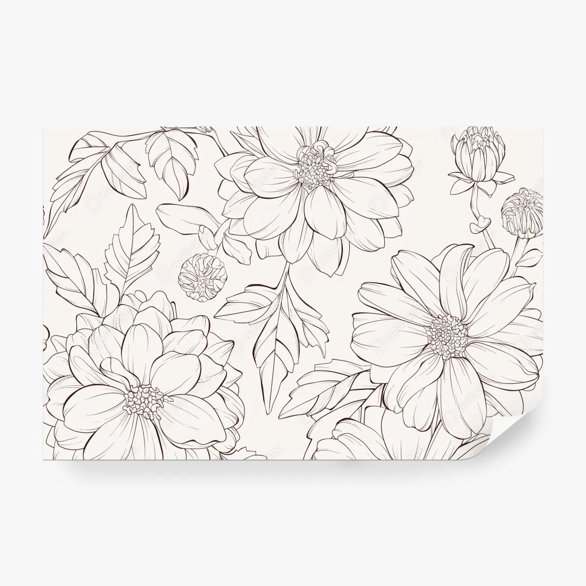 Fototapeta delikatny botaniczny rysunek kwiatowy – Wallissimo® Fototapeta delikatny botaniczny rysunek kwiatowy – Wallissimo®