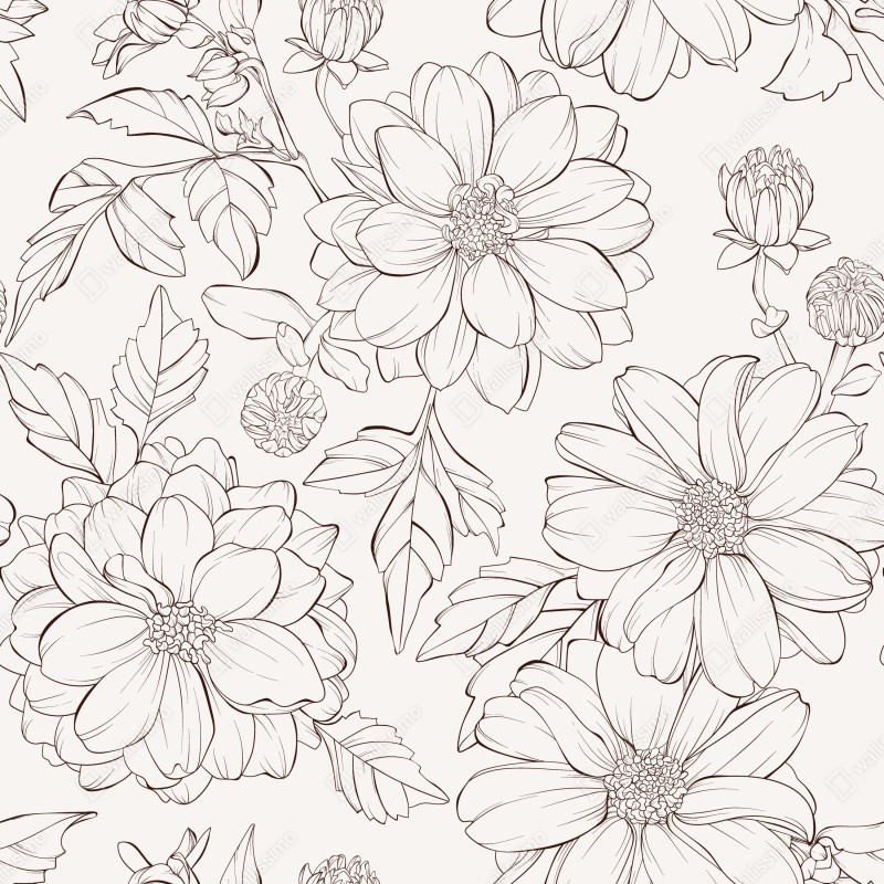 Fototapeta delikatny botaniczny rysunek kwiatowy – Wallissimo® Fototapeta delikatny botaniczny rysunek kwiatowy – Wallissimo®