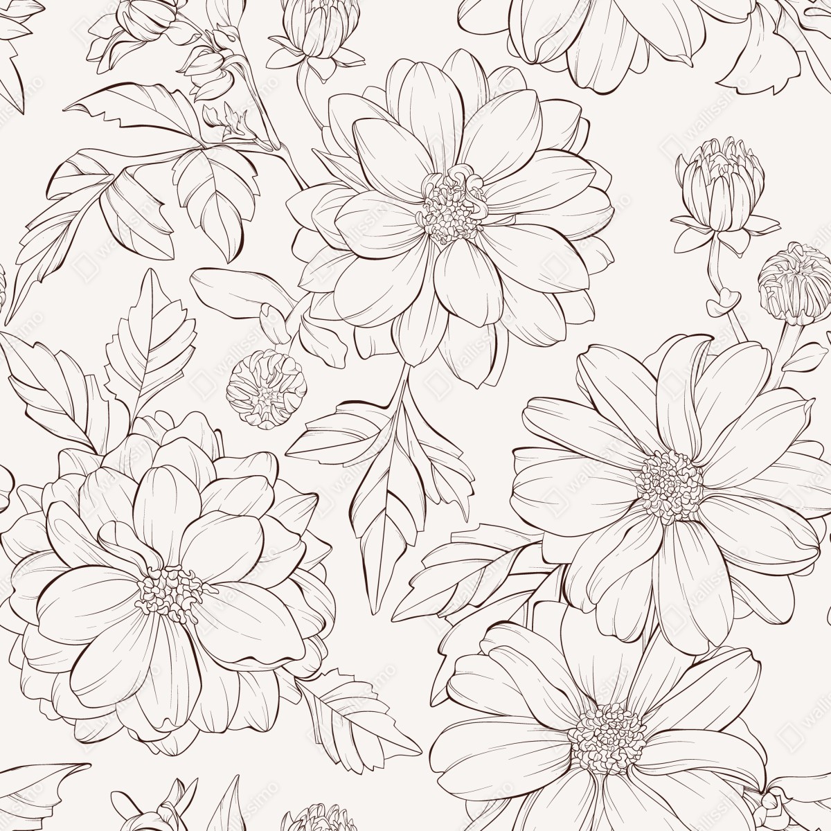 Fototapeta delikatny botaniczny rysunek kwiatowy – Wallissimo® Fototapeta delikatny botaniczny rysunek kwiatowy – Wallissimo®