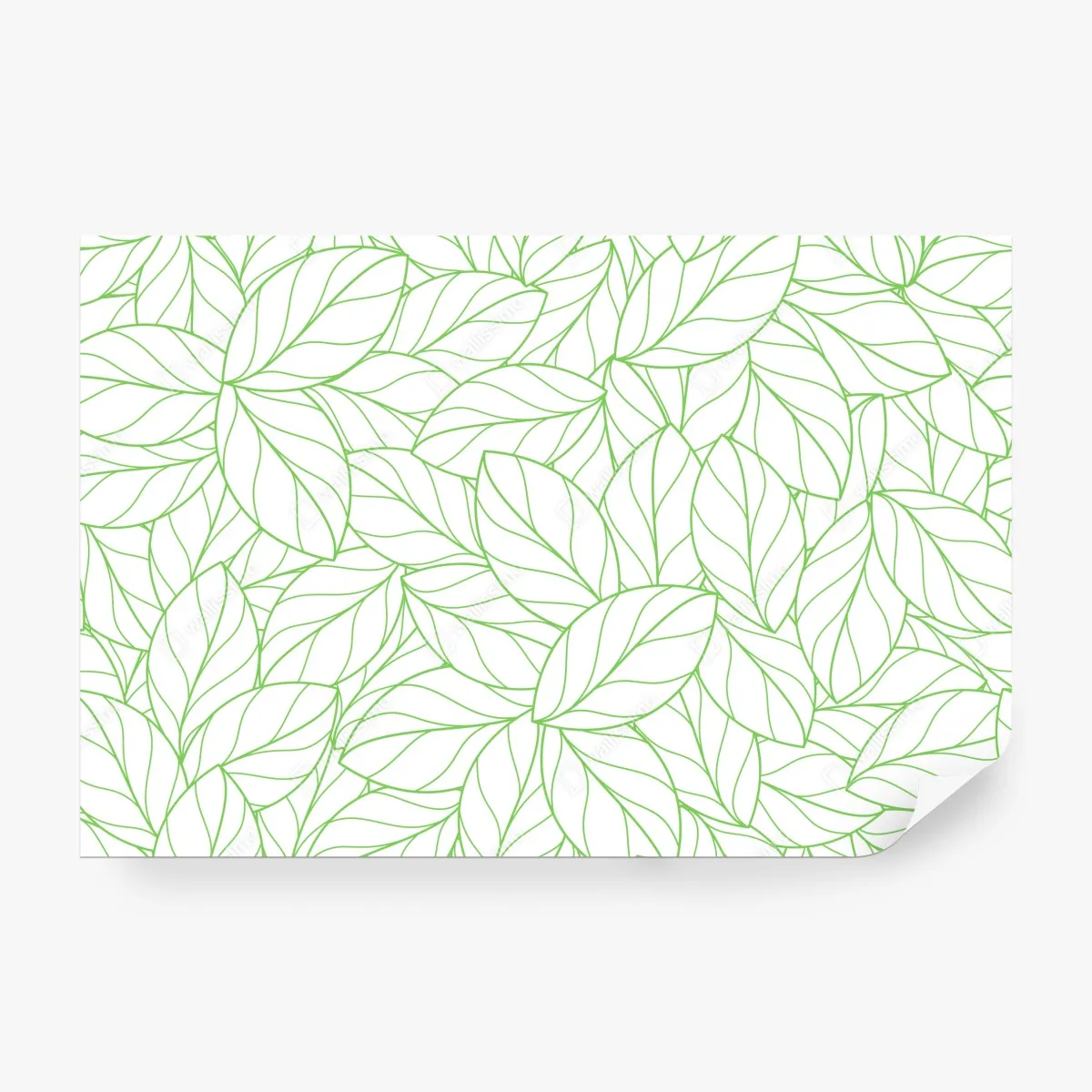 Fototapeta zielony wzór liści – Wallissimo® Fototapeta zielony wzór liści – Wallissimo®
