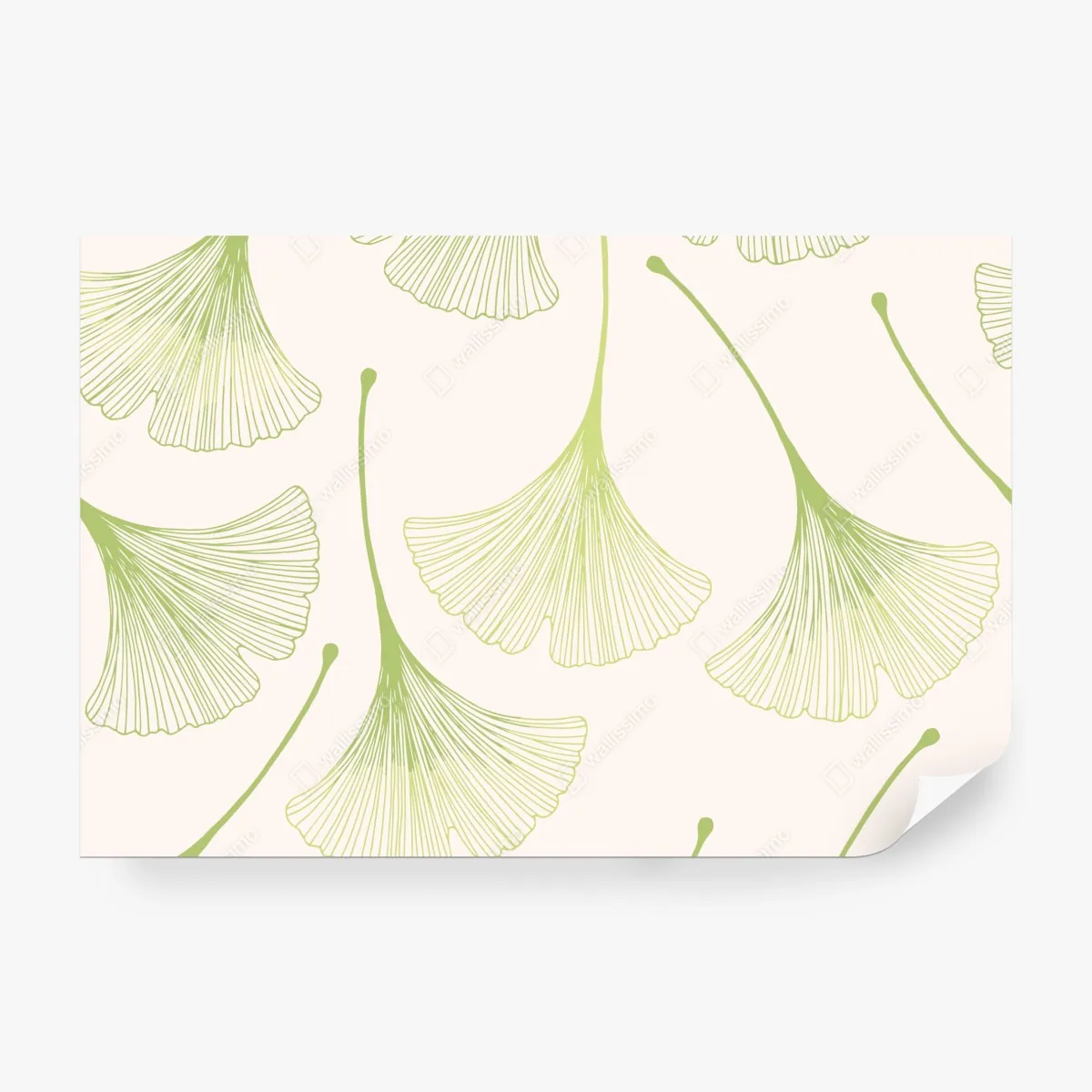 Fototapeta delikatny wzór liści miłorzębu – Wallissimo® Fototapeta delikatny wzór liści miłorzębu – Wallissimo®