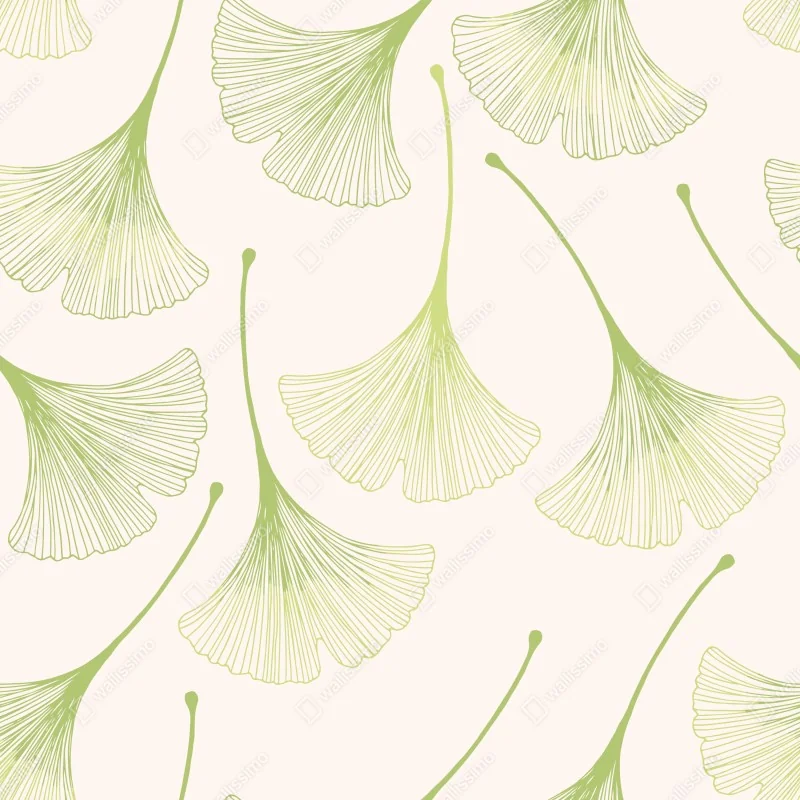 Fototapeta delikatny wzór liści miłorzębu – Wallissimo® Fototapeta delikatny wzór liści miłorzębu – Wallissimo®