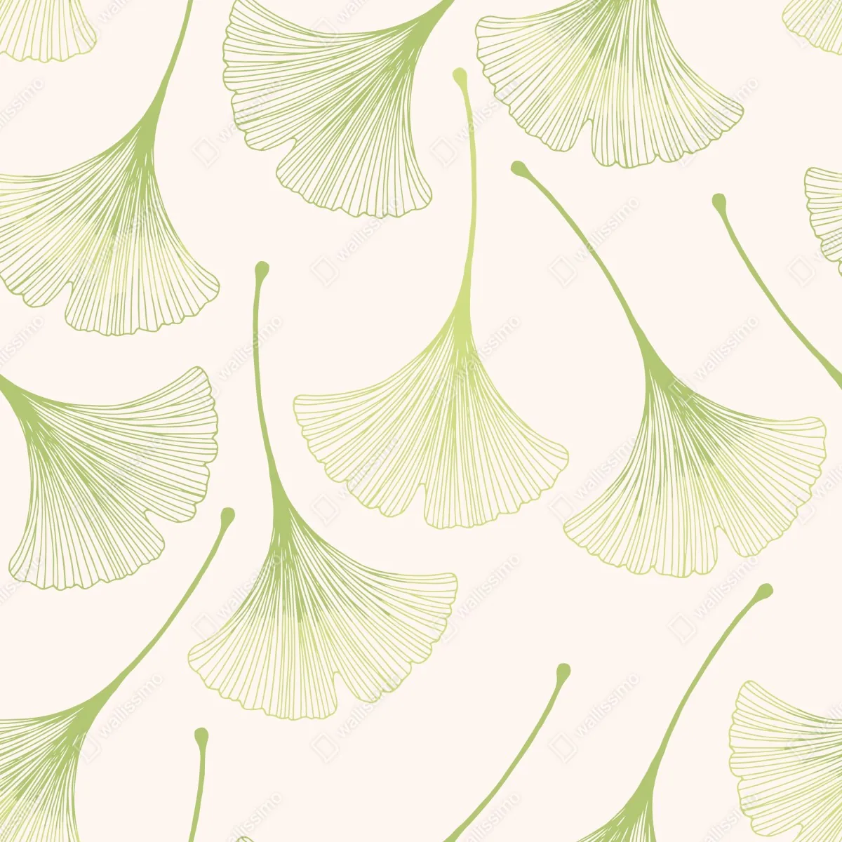 Fototapeta delikatny wzór liści miłorzębu – Wallissimo® Fototapeta delikatny wzór liści miłorzębu – Wallissimo®