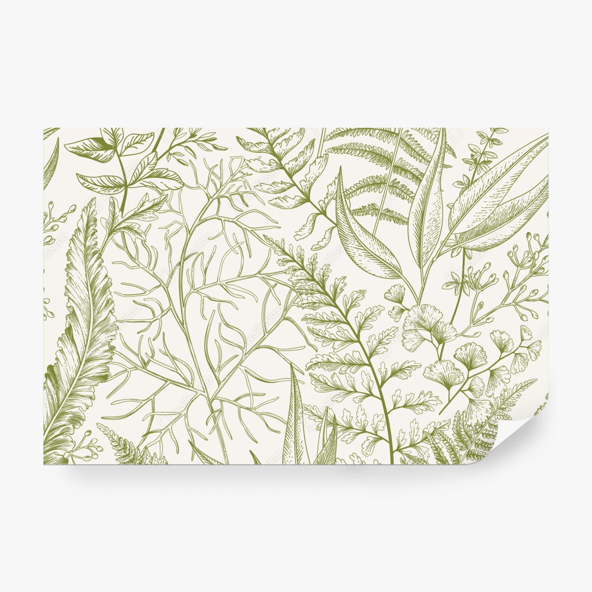 Fototapeta ręcznie rysowane zielone liście – Wallissimo® Fototapeta ręcznie rysowane zielone liście – Wallissimo®