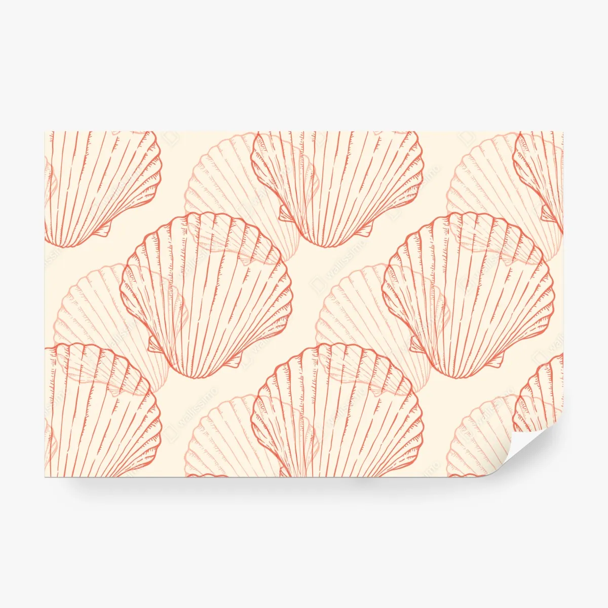 Fototapeta koralowy wzór muszli przegrzebek – Wallissimo® Fototapeta koralowy wzór muszli przegrzebek – Wallissimo®