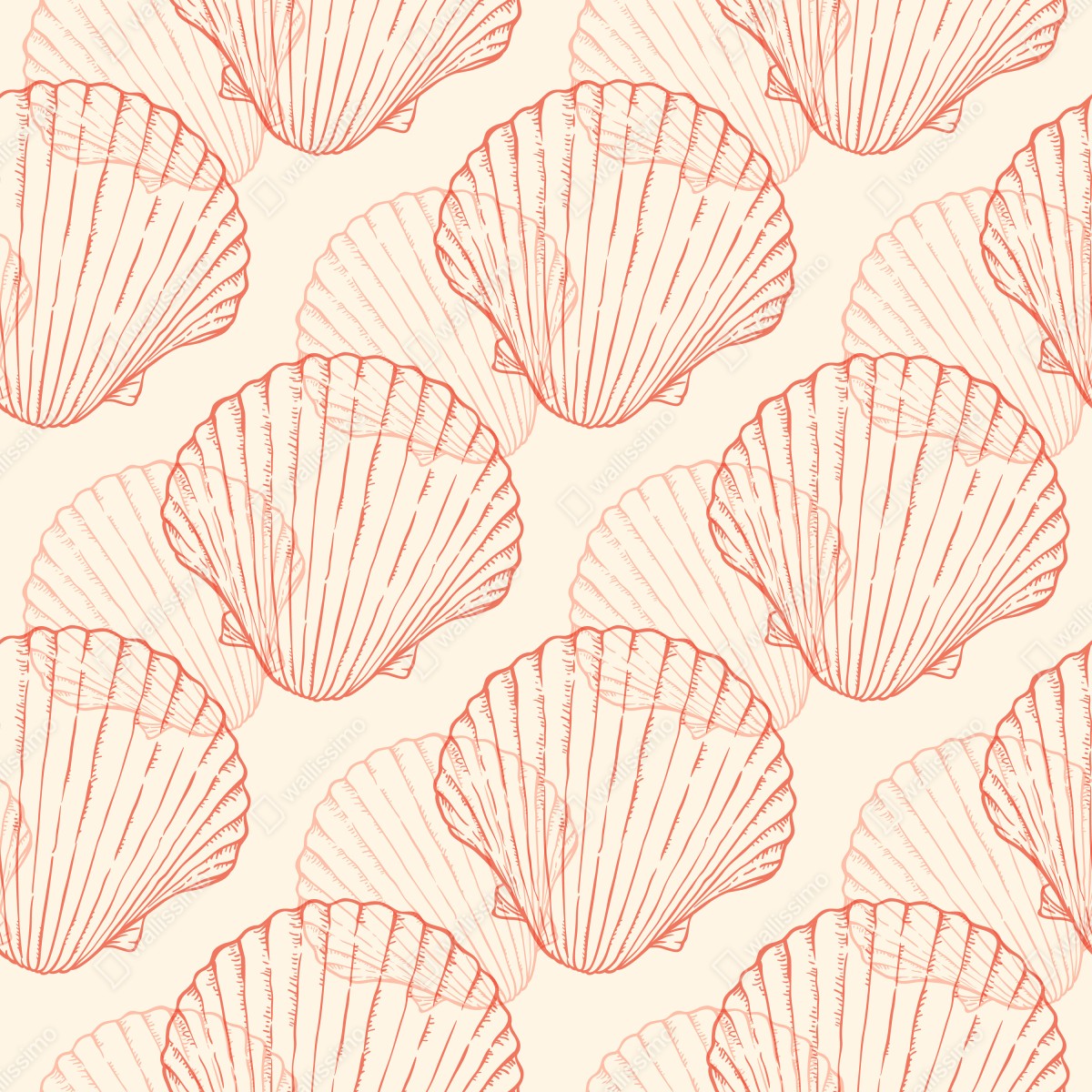 Fototapeta koralowy wzór muszli przegrzebek – Wallissimo® Fototapeta koralowy wzór muszli przegrzebek – Wallissimo®