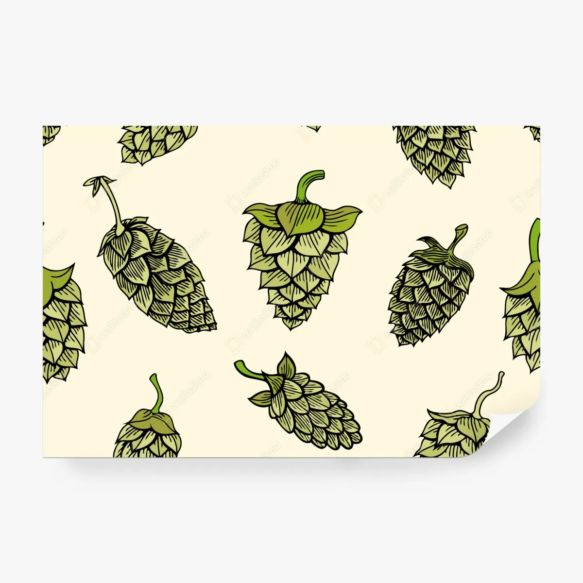 Fototapeta ręcznie rysowany wzór chmielu – Wallissimo® Fototapeta ręcznie rysowany wzór chmielu – Wallissimo®