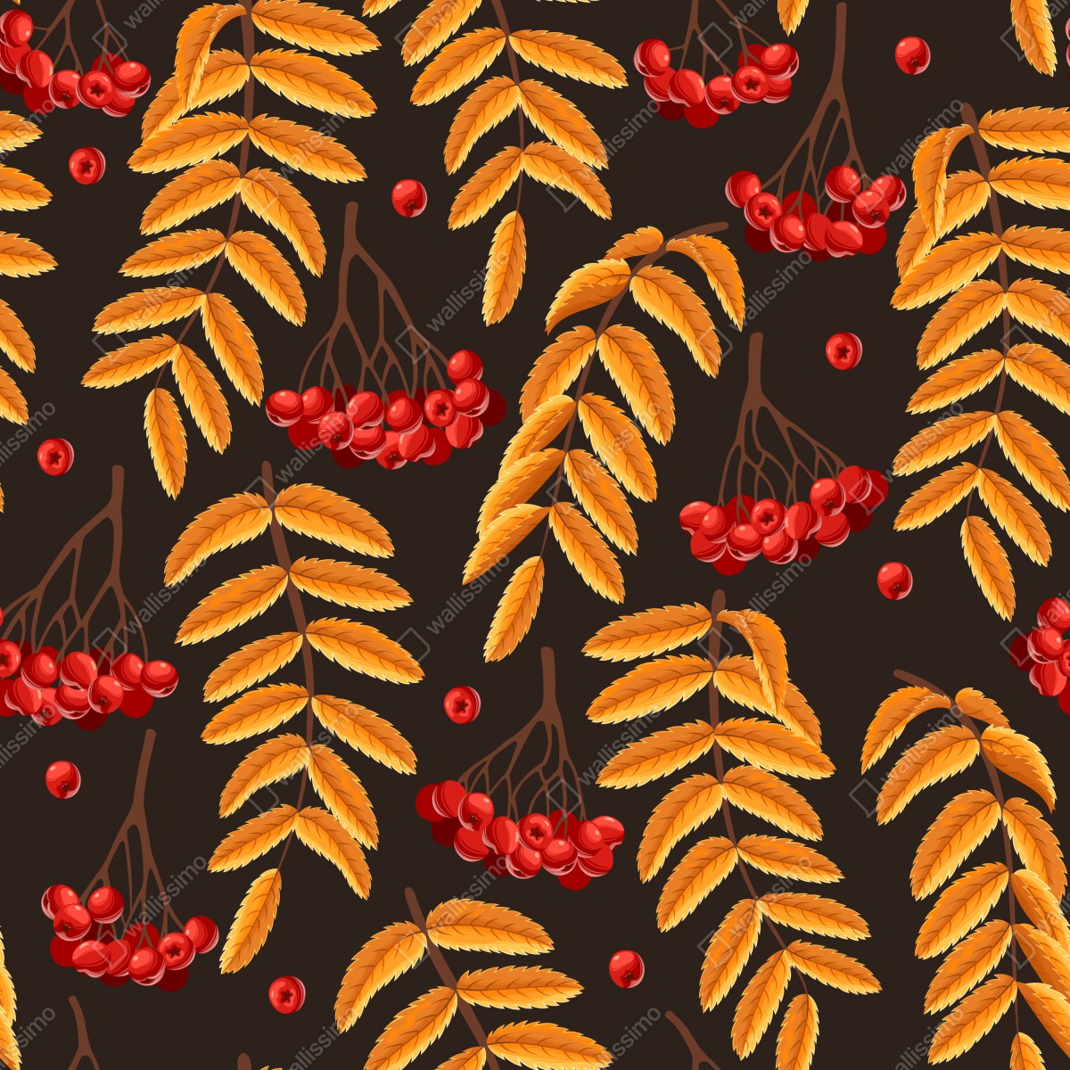 Fototapeta jesienny wzór z liśćmi jarzębiny – Wallissimo® Fototapeta jesienny wzór z liśćmi jarzębiny – Wallissimo®