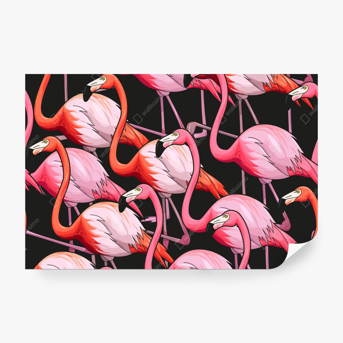 Fototapeta różowy wzór z flamingami na czarnym tle – Wallissimo® Fototapeta różowy wzór z flamingami na czarnym tle – Wallissimo®