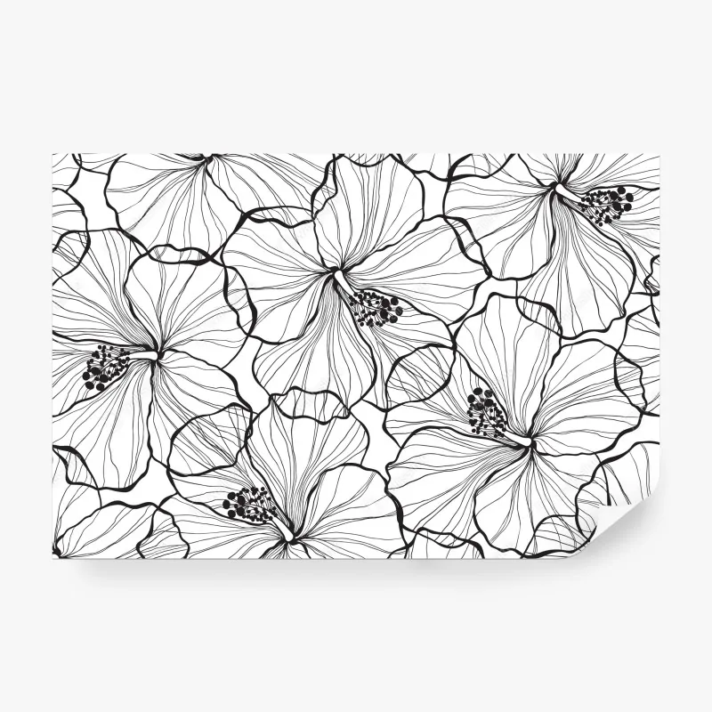 Fototapeta czarno-biały hibiskus w stylu line art