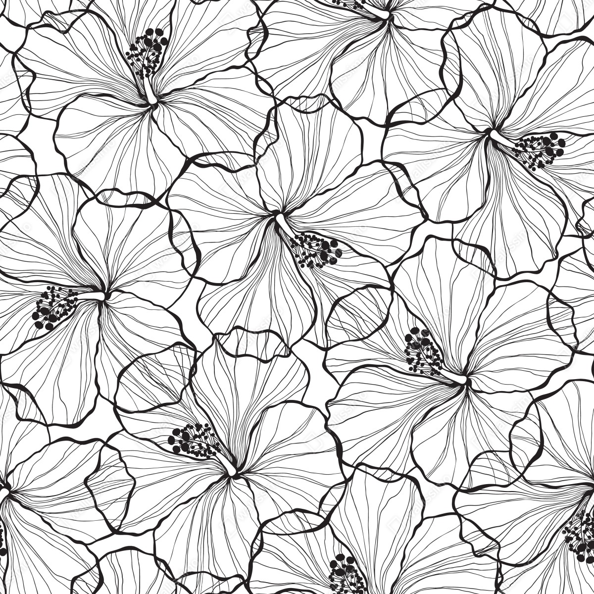 Fototapeta czarno-biały hibiskus w stylu line art – Wallissimo® Fototapeta czarno-biały hibiskus w stylu line art – Wallissimo®