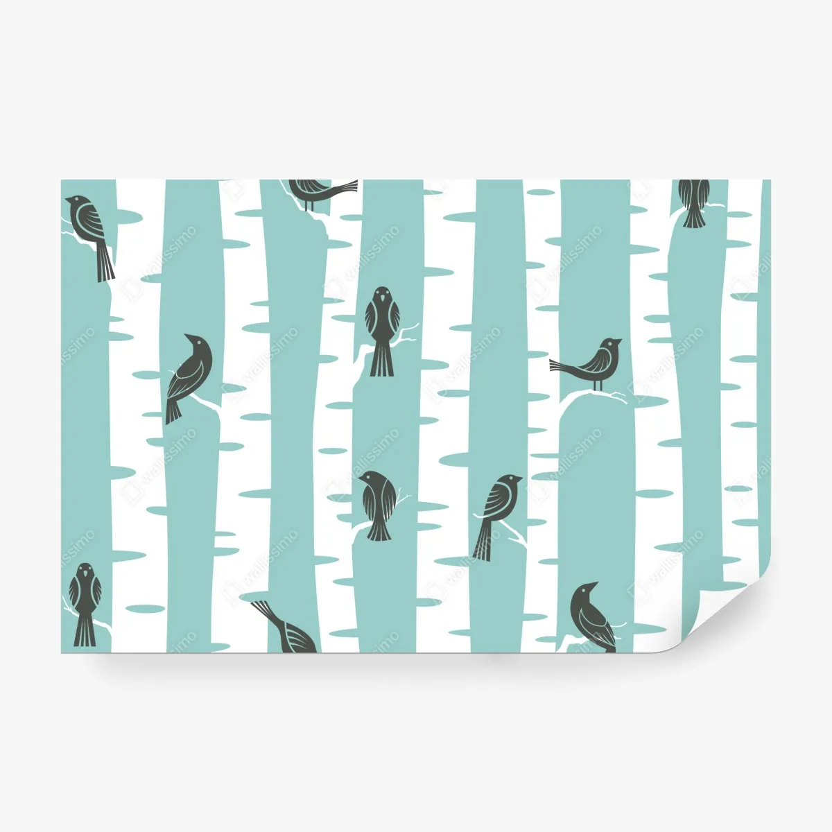Fototapeta turkusowy las brzóz z ptakami – Wallissimo® Fototapeta turkusowy las brzóz z ptakami – Wallissimo®