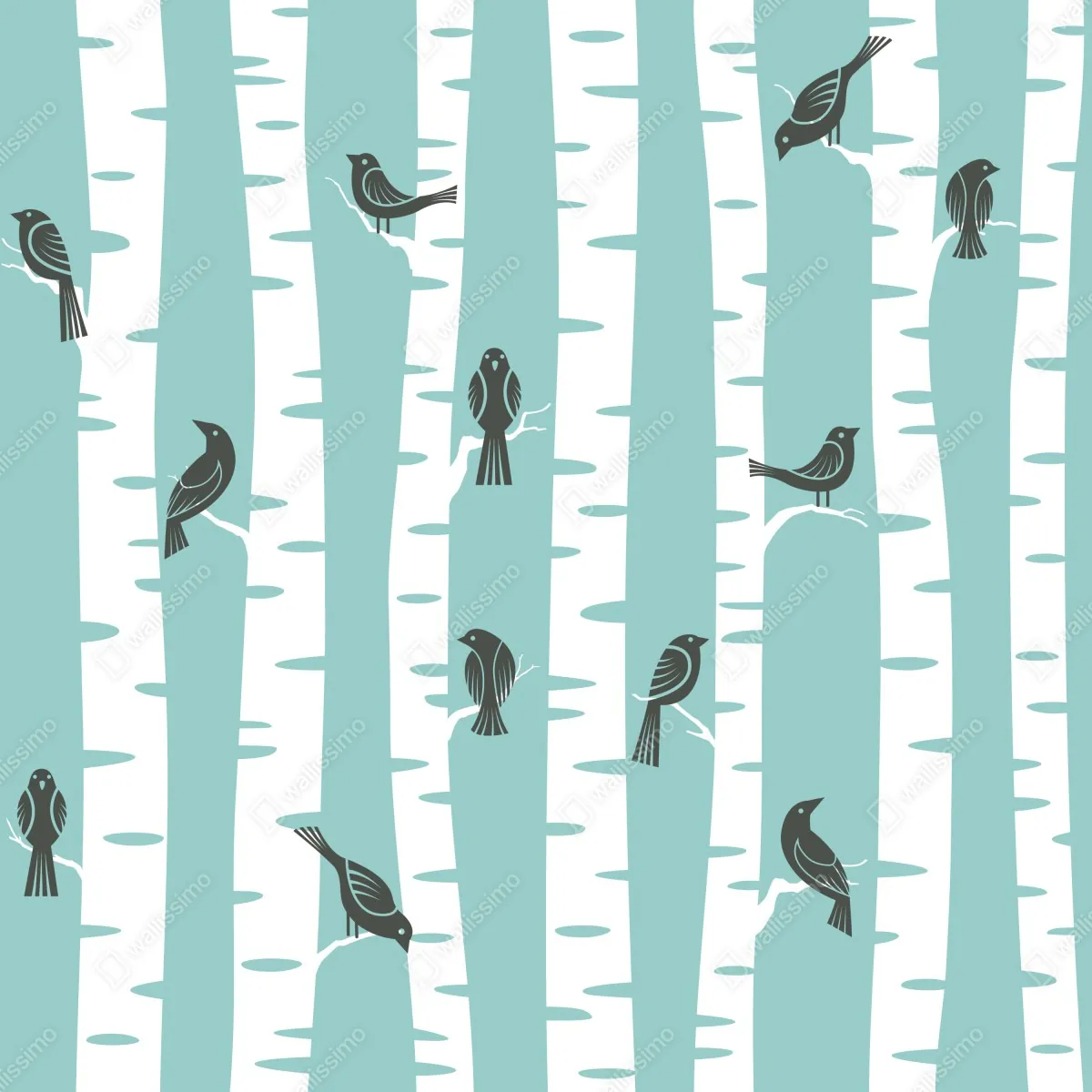 Fototapeta turkusowy las brzóz z ptakami – Wallissimo® Fototapeta turkusowy las brzóz z ptakami – Wallissimo®