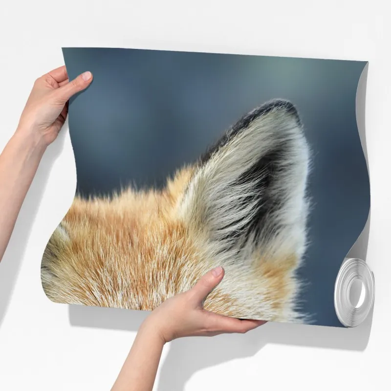 Fototapeta portret czerwonego lisa – Wallissimo® Fototapeta portret czerwonego lisa – Wallissimo®