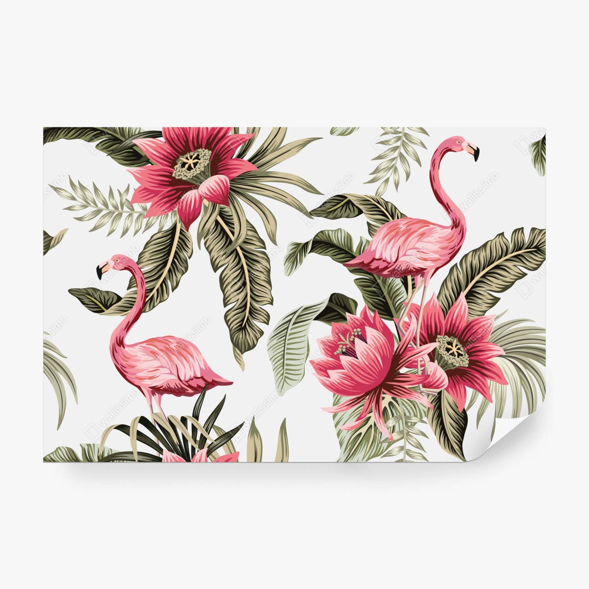 Fototapeta tropikalne różowe flamingi i kwiaty – Wallissimo® Fototapeta tropikalne różowe flamingi i kwiaty – Wallissimo®