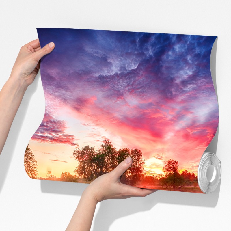 Fototapeta spokojny letni wschód słońca nad brzegiem rzeki – Wallissimo® Fototapeta spokojny letni wschód słońca nad brzegiem rzeki – Wallissimo®