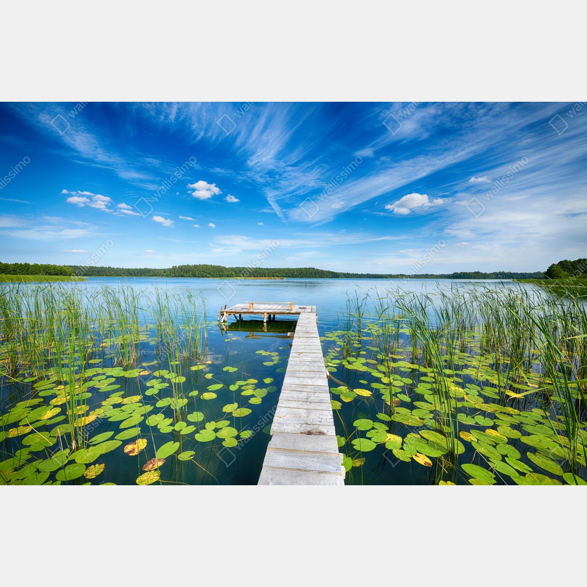 Fototapeta pomost na Mazurach latem – Wallissimo® Fototapeta pomost na Mazurach latem – Wallissimo®