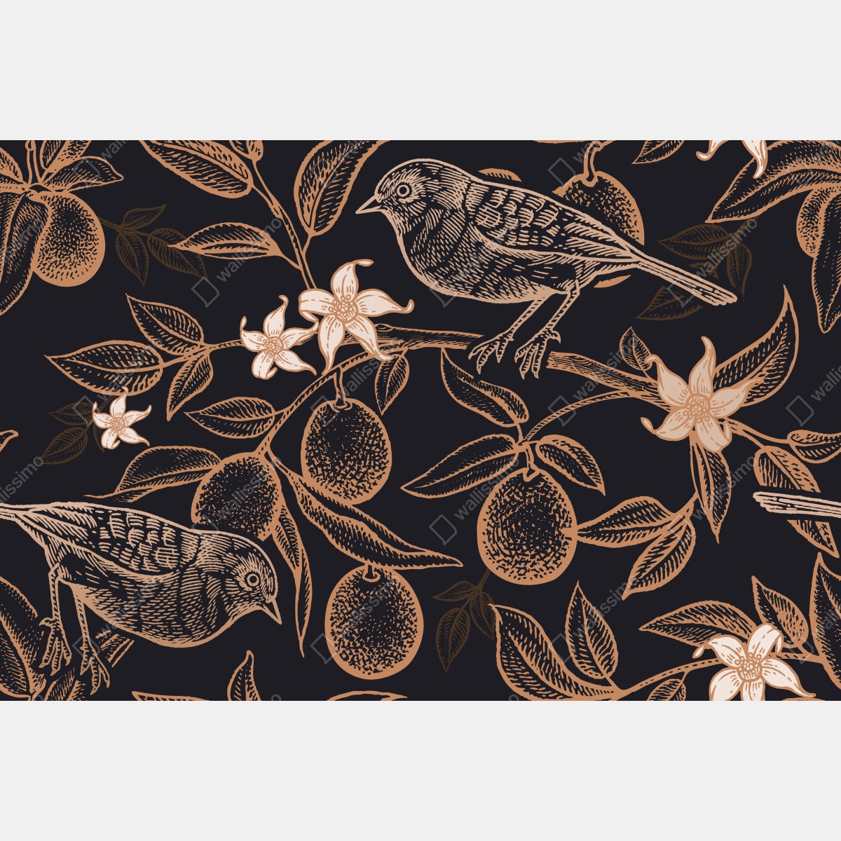 Fototapeta vintage wzór ptaków i cytrusów – Wallissimo® Fototapeta vintage wzór ptaków i cytrusów – Wallissimo®