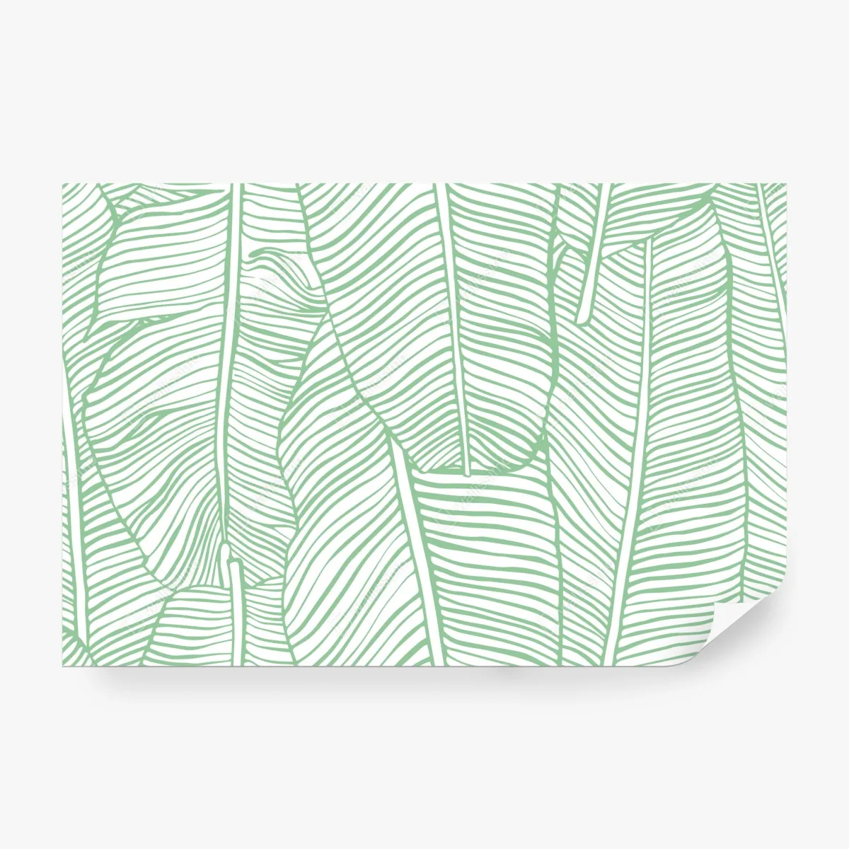 Fototapeta miętowy wzór liści bananowca – Wallissimo® Fototapeta miętowy wzór liści bananowca – Wallissimo®
