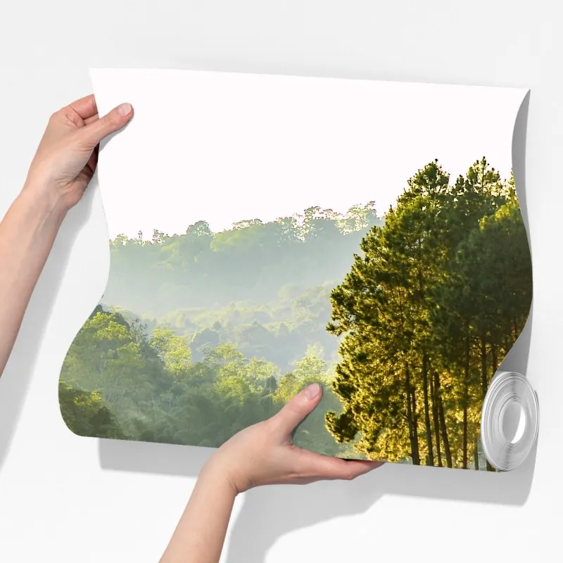 Fototapeta spokojny las sosnowy nad cichym jeziorem – Wallissimo® Fototapeta spokojny las sosnowy nad cichym jeziorem – Wallissimo®