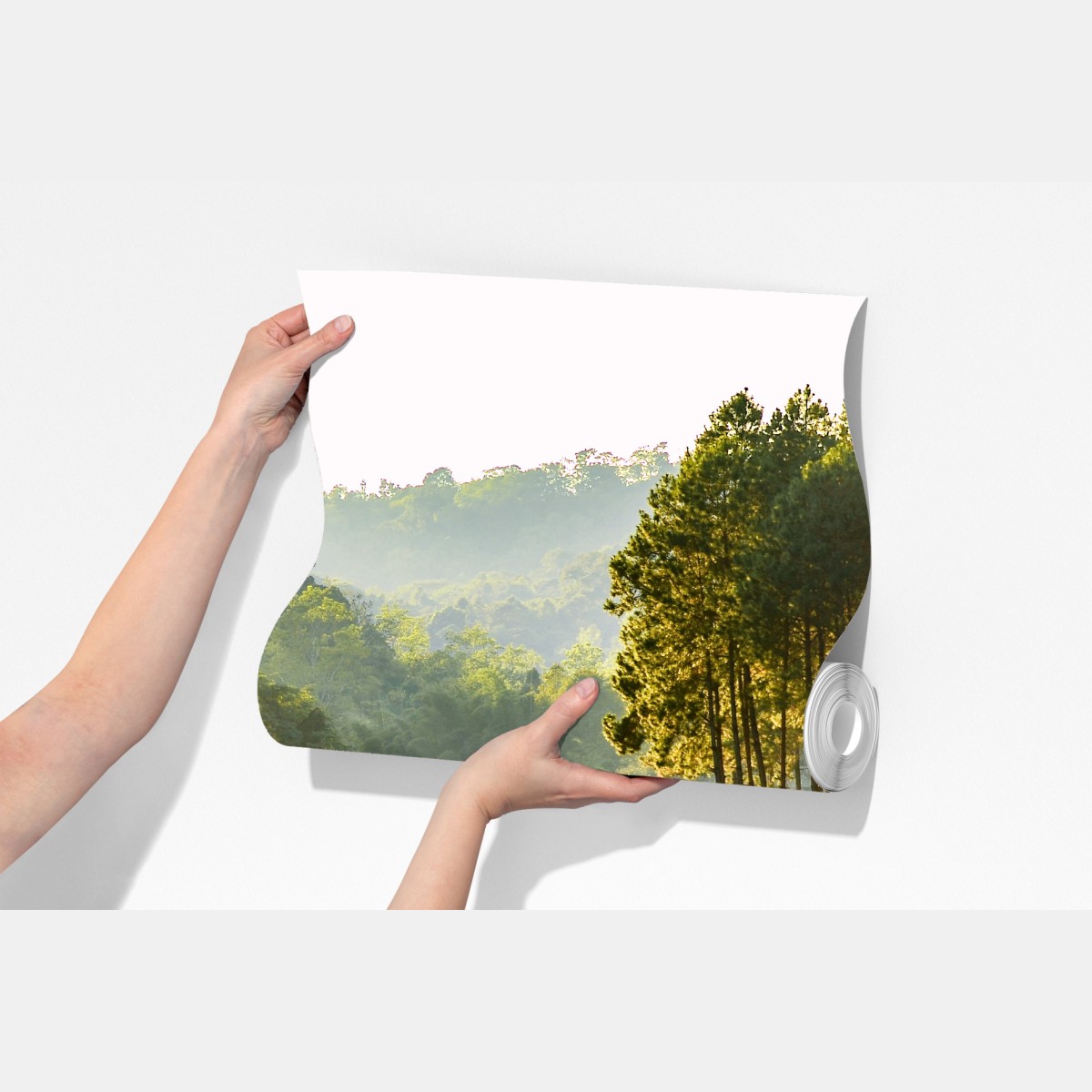 Fototapeta spokojny las sosnowy nad cichym jeziorem – Wallissimo® Fototapeta spokojny las sosnowy nad cichym jeziorem – Wallissimo®