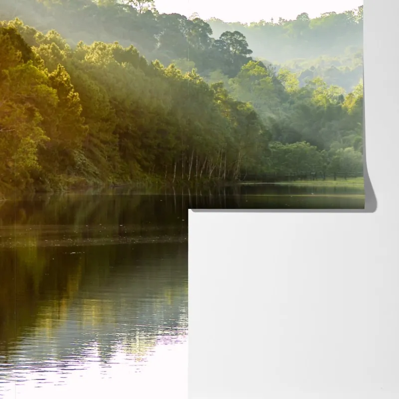 Fototapeta spokojny las sosnowy nad cichym jeziorem – Wallissimo® Fototapeta spokojny las sosnowy nad cichym jeziorem – Wallissimo®