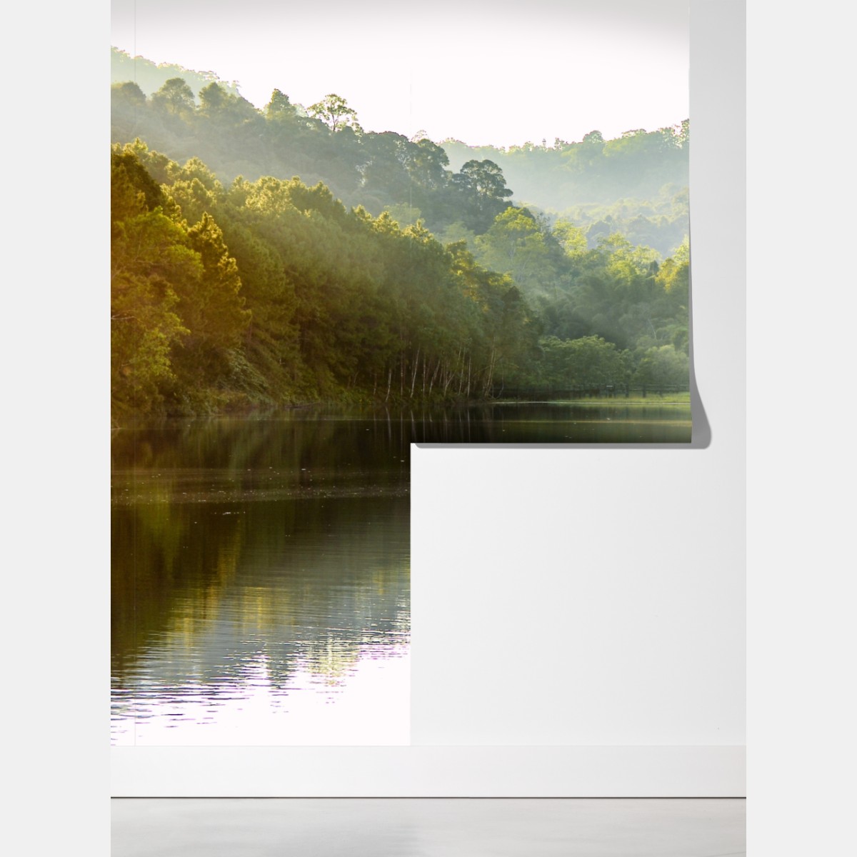 Fototapeta spokojny las sosnowy nad cichym jeziorem – Wallissimo® Fototapeta spokojny las sosnowy nad cichym jeziorem – Wallissimo®