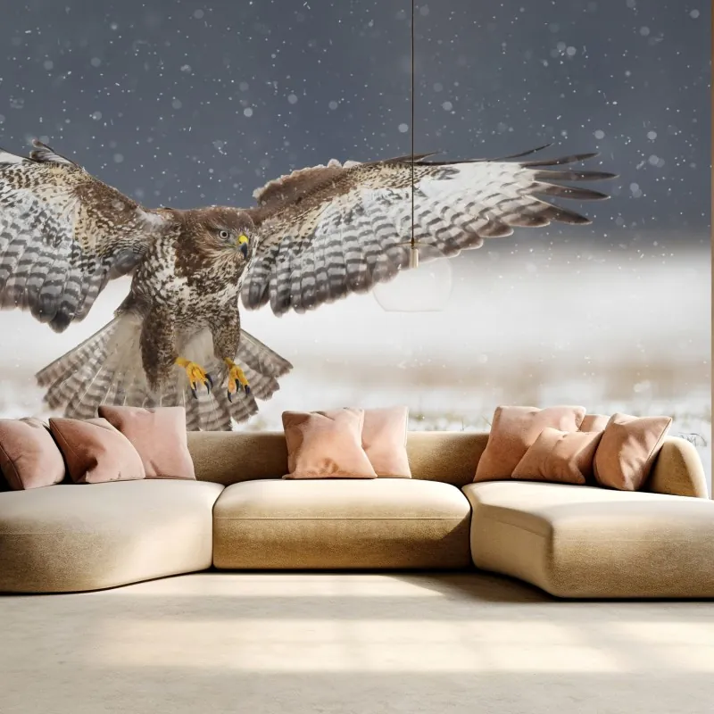 Fototapeta myszołów lądujący na śniegu