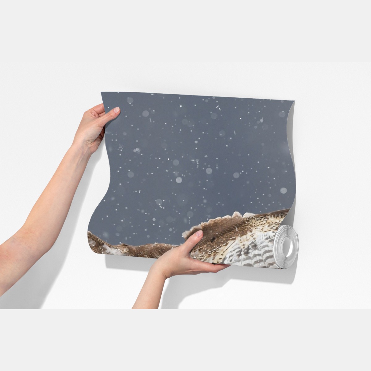 Fototapeta myszołów lądujący na śniegu – Wallissimo® Fototapeta myszołów lądujący na śniegu – Wallissimo®