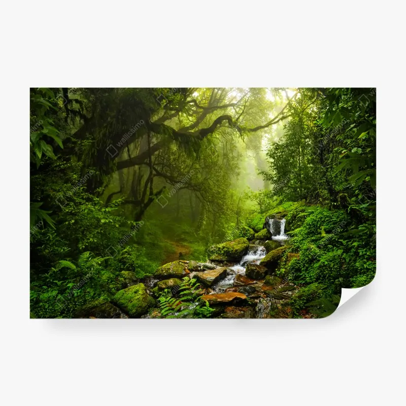 Fototapeta monochromatyczny botaniczny wzór liści – Wallissimo®