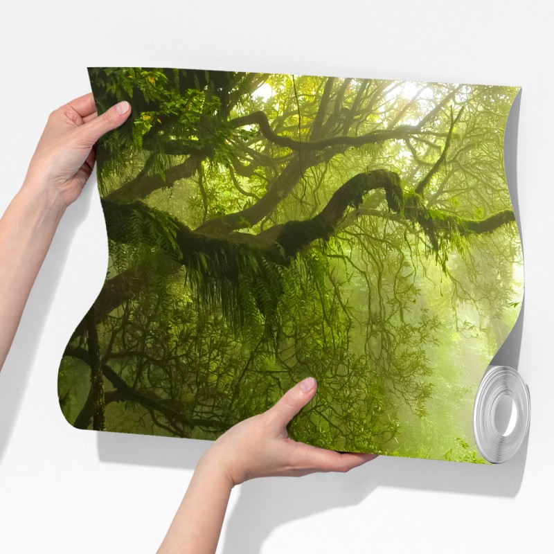 Fototapeta bujny mglisty leśny wodospad – Wallissimo® Fototapeta bujny mglisty leśny wodospad – Wallissimo®