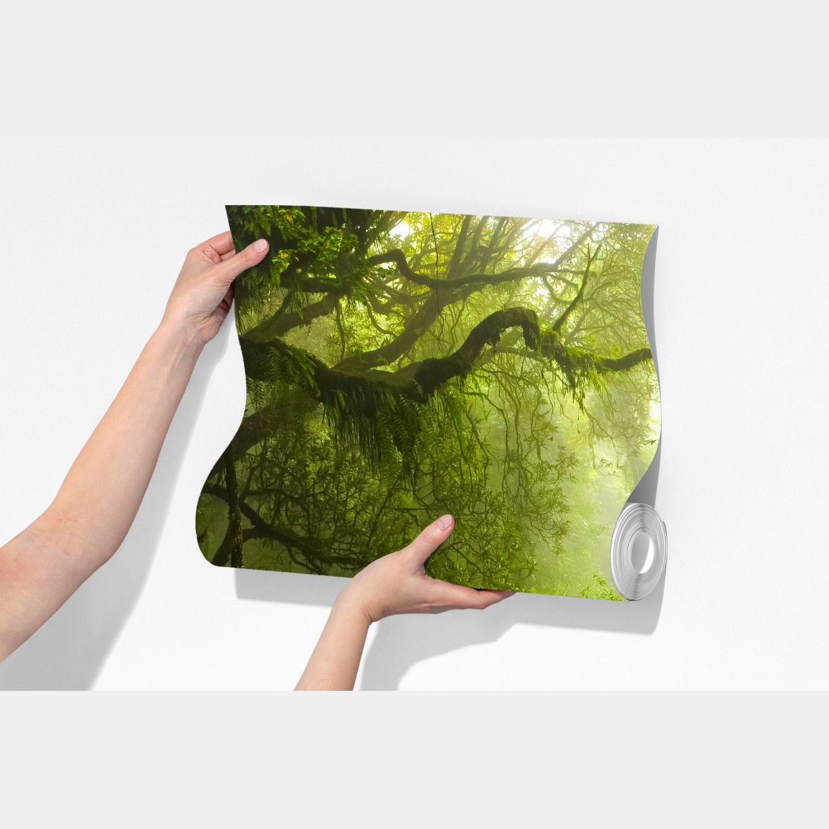 Fototapeta bujny mglisty leśny wodospad – Wallissimo® Fototapeta bujny mglisty leśny wodospad – Wallissimo®