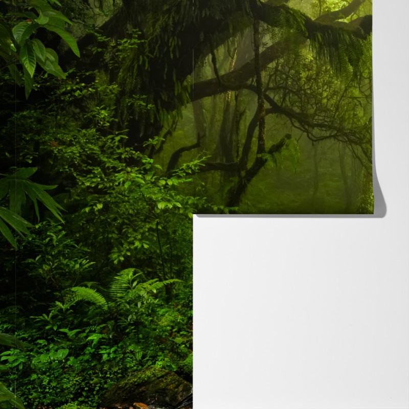 Fototapeta bujny mglisty leśny wodospad – Wallissimo® Fototapeta bujny mglisty leśny wodospad – Wallissimo®