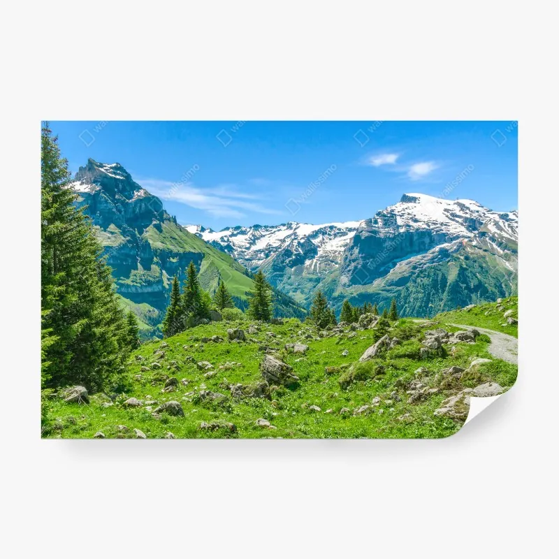 Fototapeta słoneczna łąka w Engelberg