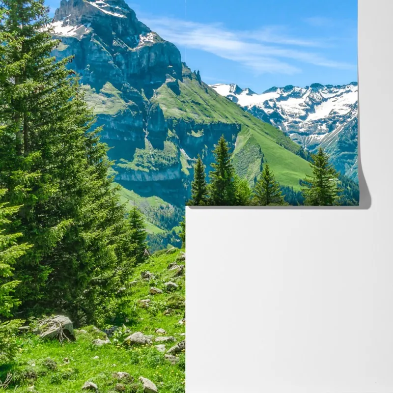 Fototapeta słoneczna łąka w Engelberg – Wallissimo® Fototapeta słoneczna łąka w Engelberg – Wallissimo®