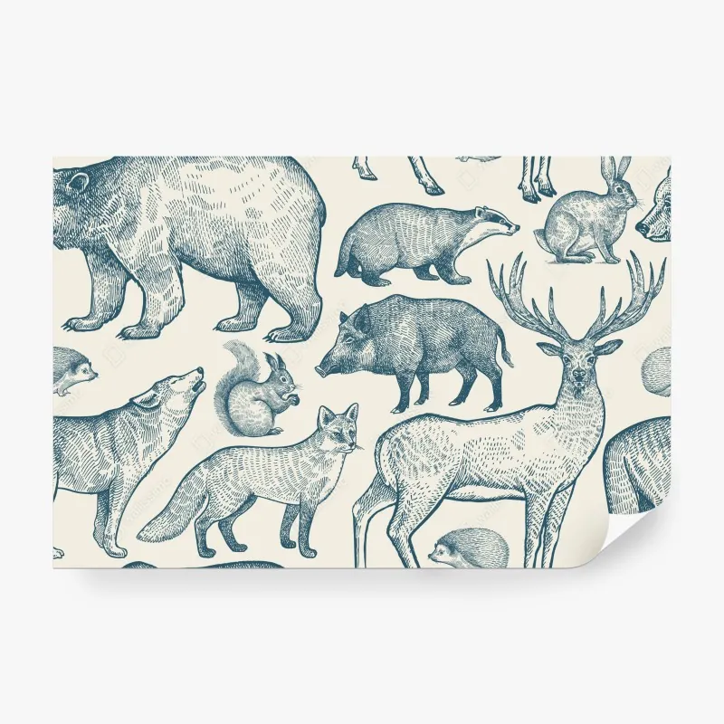 Fototapeta Dubrownik stara ulica – Wallissimo®