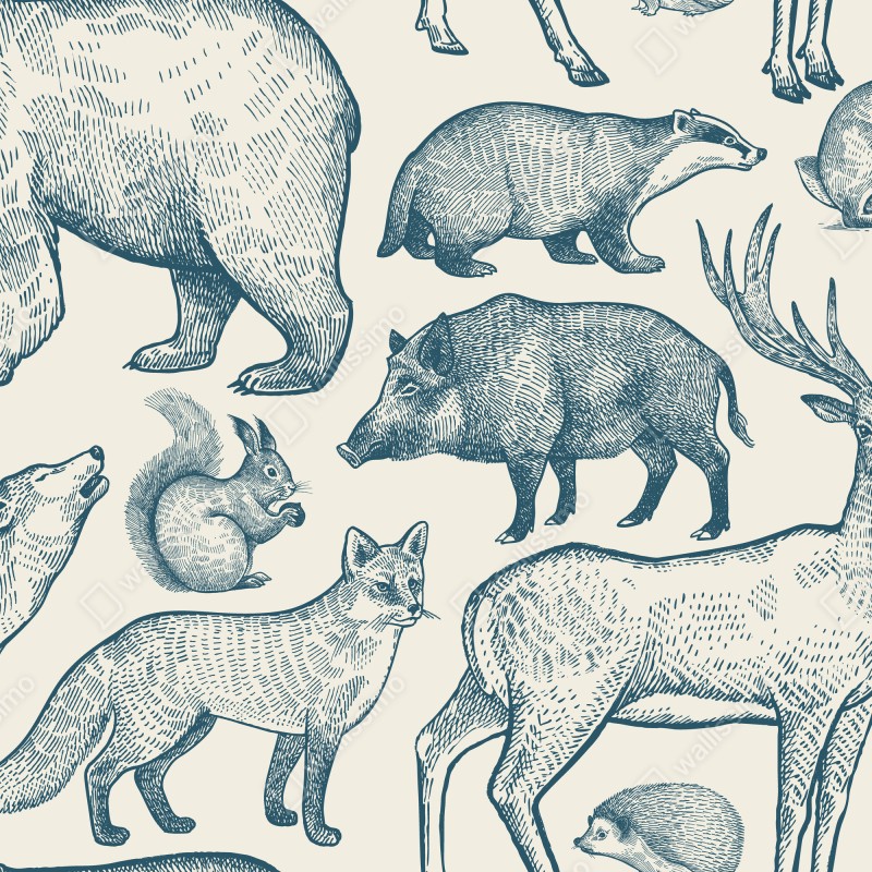 Fototapeta vintage wzór z zwierzętami leśnymi – Wallissimo® Fototapeta vintage wzór z zwierzętami leśnymi – Wallissimo®