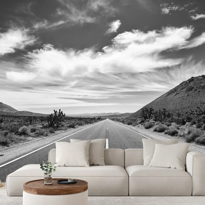 Fototapeta Dolina Śmierci otwarta droga w czerni i bieli