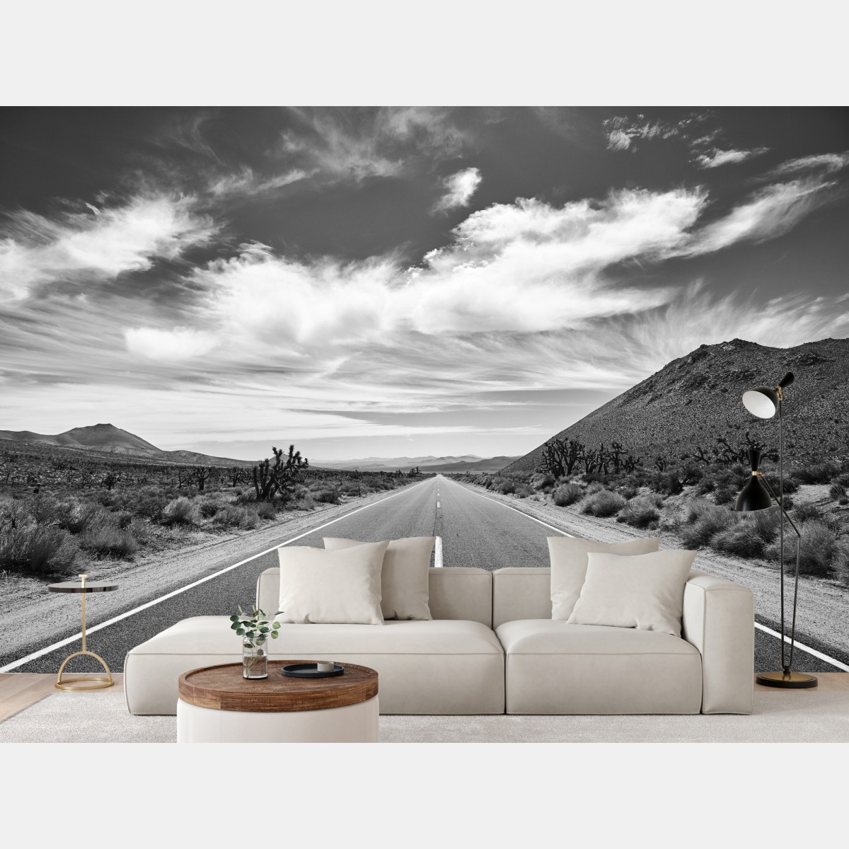 Wall mural Death Valley open road in black and white