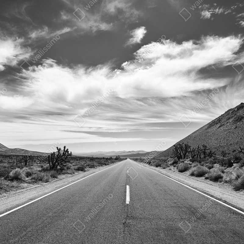 Fototapeta Dolina Śmierci otwarta droga w czerni i bieli – Wallissimo® Fototapeta Dolina Śmierci otwarta droga w czerni i bieli – Wallissimo®