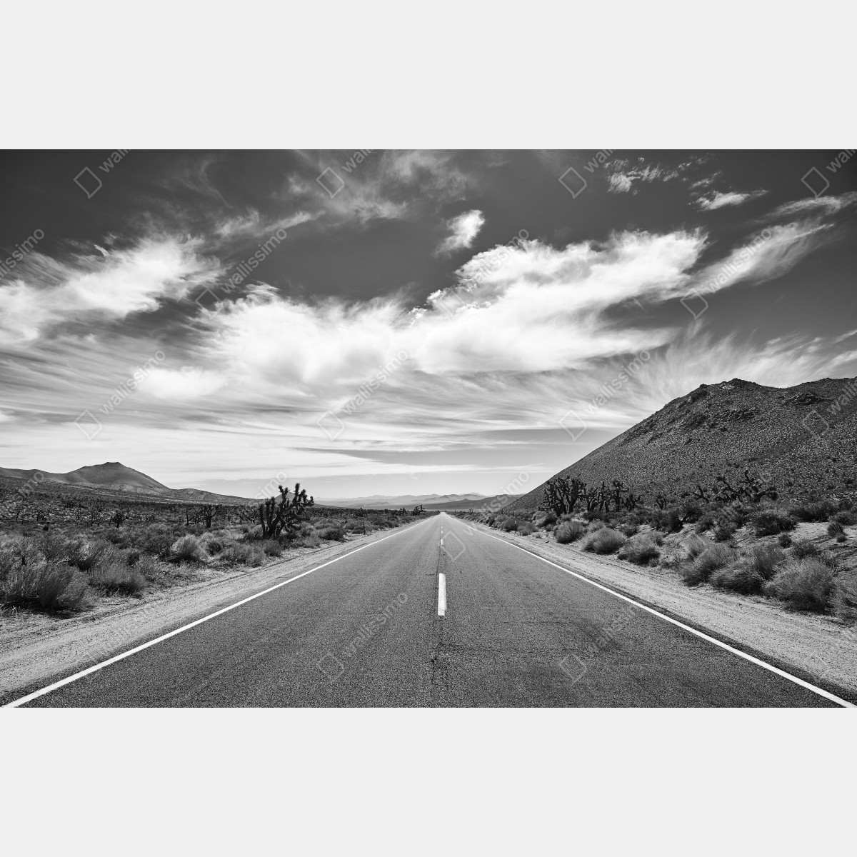 Fototapeta Dolina Śmierci otwarta droga w czerni i bieli – Wallissimo® Fototapeta Dolina Śmierci otwarta droga w czerni i bieli – Wallissimo®