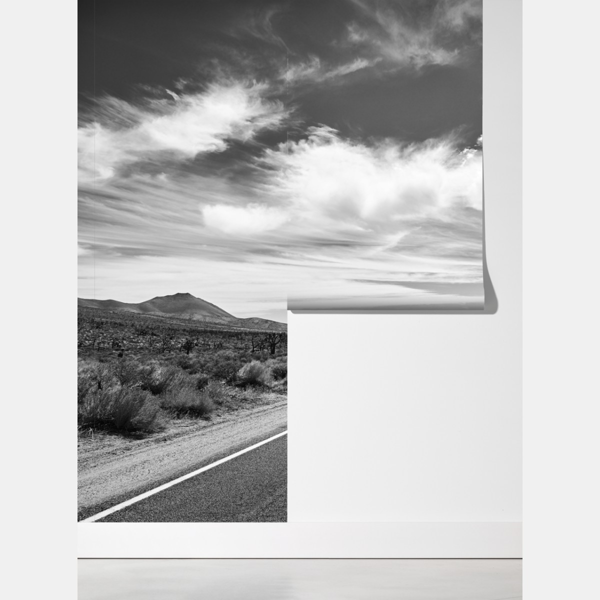 Fototapeta Dolina Śmierci otwarta droga w czerni i bieli – Wallissimo® Fototapeta Dolina Śmierci otwarta droga w czerni i bieli – Wallissimo®