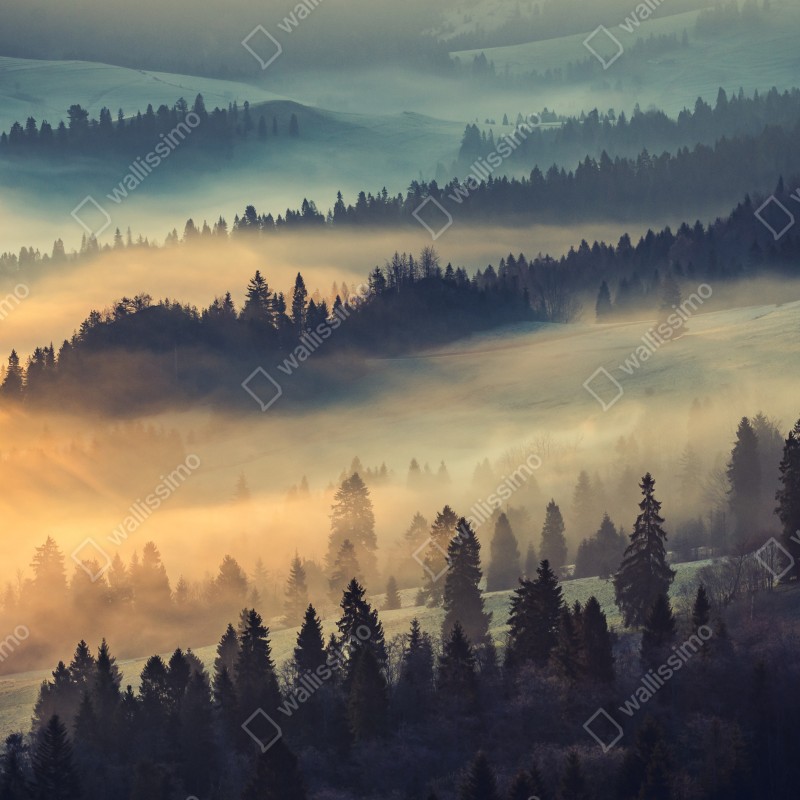 Fototapeta mglisty górski las o wschodzie słońca – Wallissimo® Fototapeta mglisty górski las o wschodzie słońca – Wallissimo®