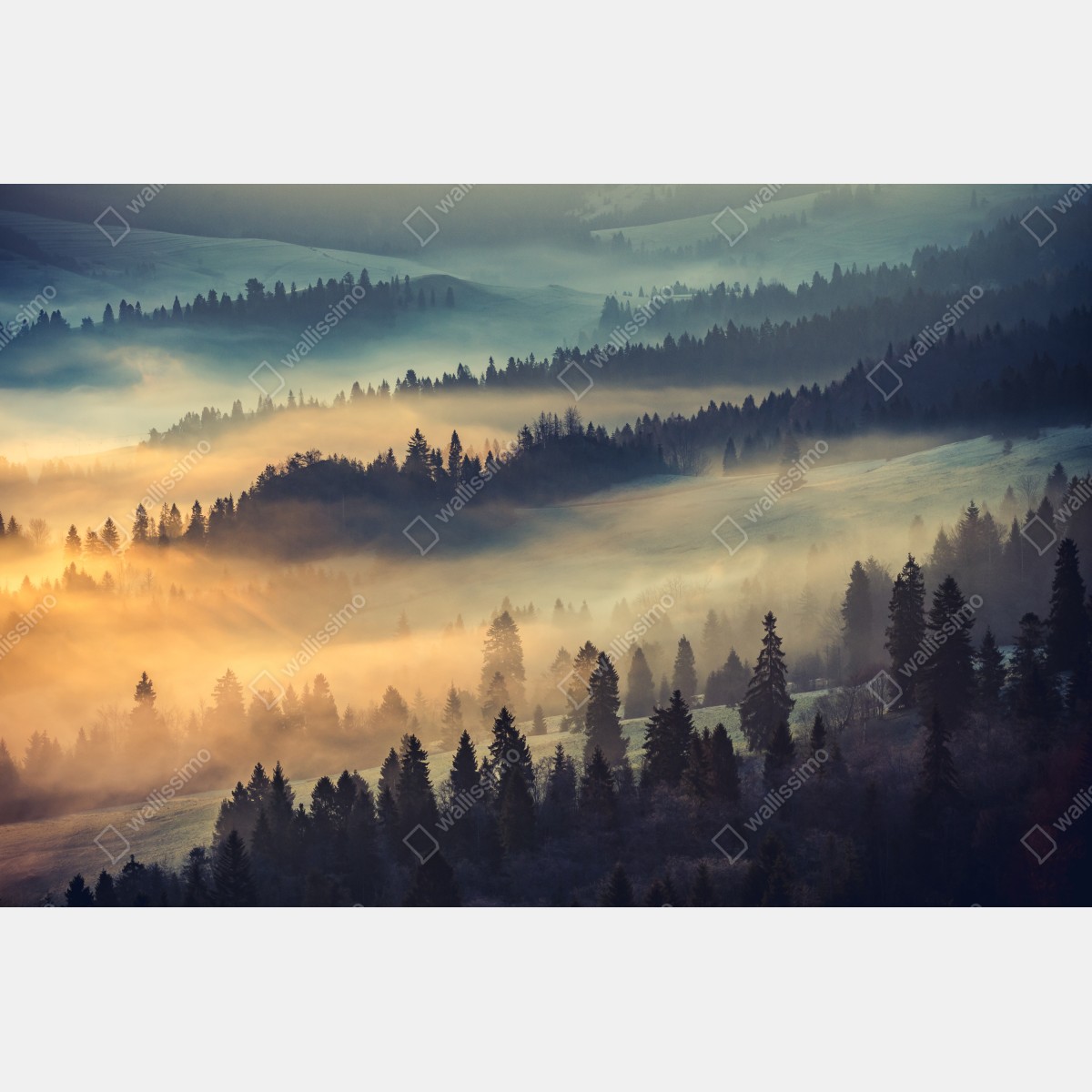 Fototapeta mglisty górski las o wschodzie słońca – Wallissimo® Fototapeta mglisty górski las o wschodzie słońca – Wallissimo®