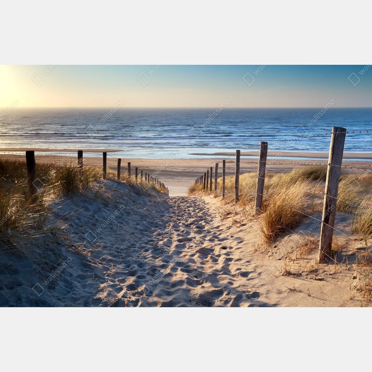 Fototapeta ścieżka na plażę Morze Północne o złotym zachodzie słońca – Wallissimo® Fototapeta ścieżka na plażę Morze Północne o złotym zachodzie słońca – Wallissimo®